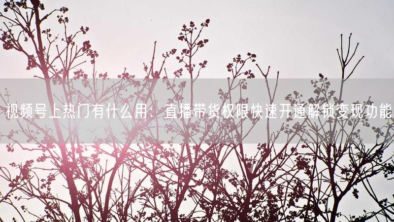 视频号上热门有什么用：直播带货权限快速开通解锁变现功能