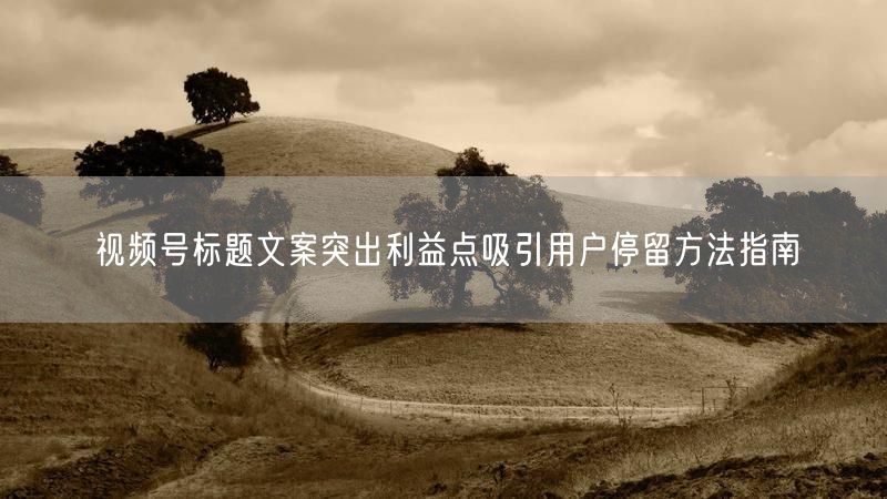 视频号标题文案突出利益点吸引用户停留方法指南