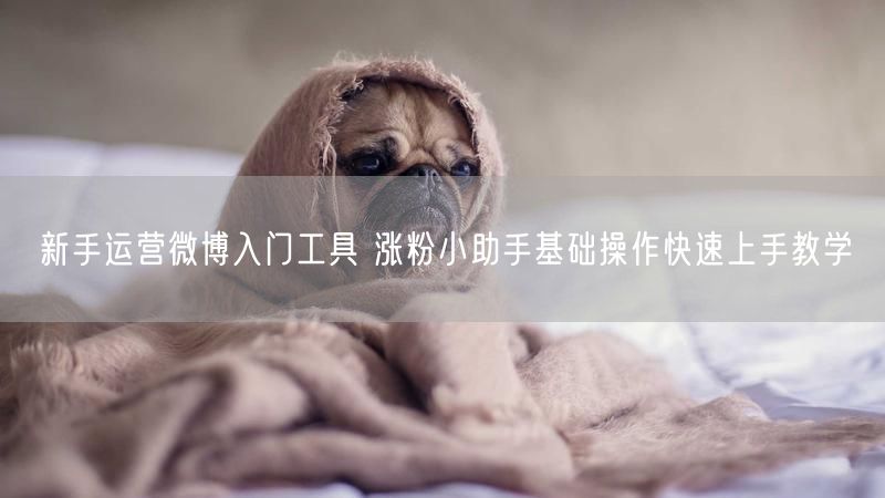 新手运营微博入门工具 涨粉小助手基础操作快速上手教学