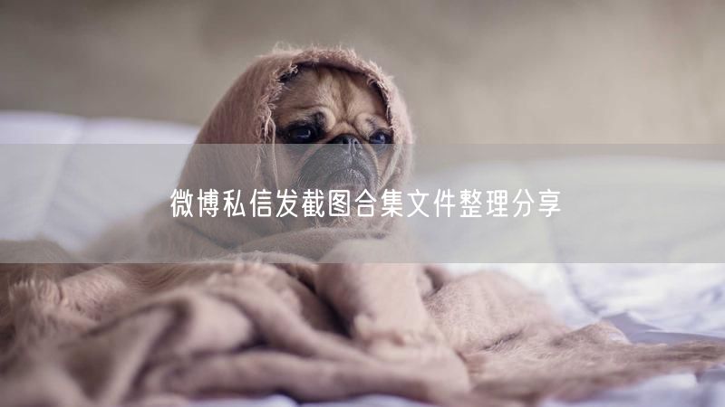 微博私信发截图合集文件整理分享