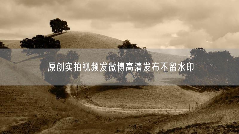 原创实拍视频发微博高清发布不留水印