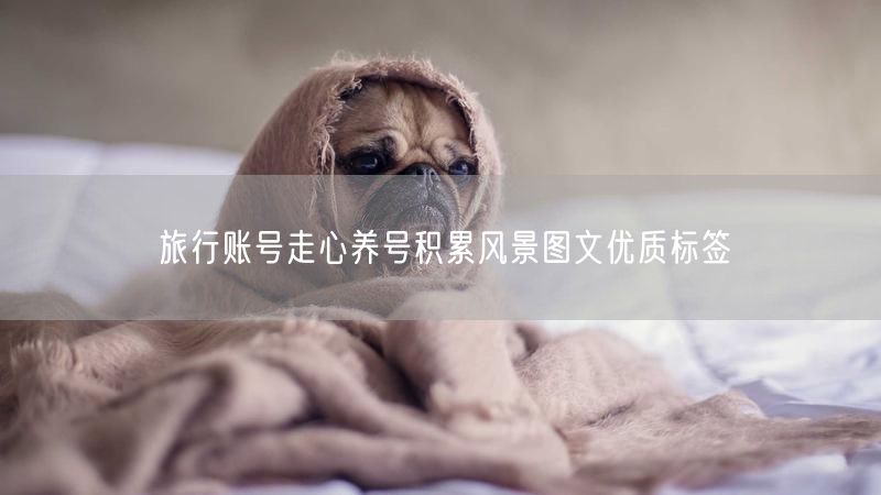 旅行账号走心养号积累风景图文优质标签