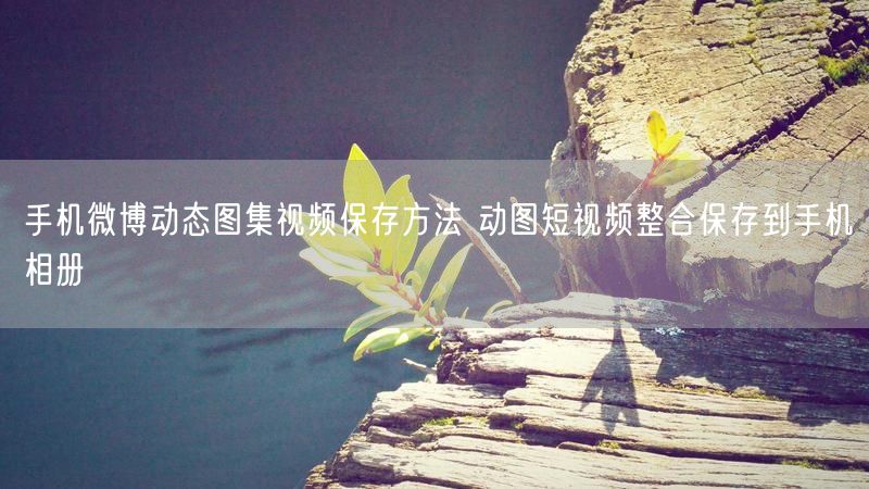 手机微博动态图集视频保存方法 动图短视频整合保存到手机相册