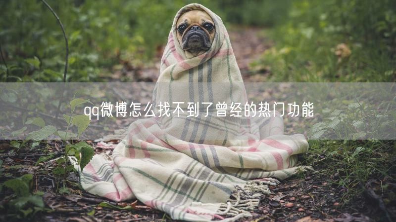 qq微博怎么找不到了曾经的热门功能
