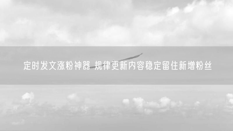 定时发文涨粉神器 规律更新内容稳定留住新增粉丝