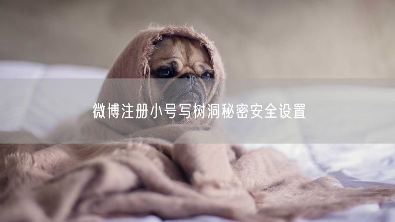 微博注册小号写树洞秘密安全设置