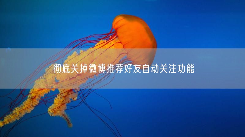 彻底关掉微博推荐好友自动关注功能