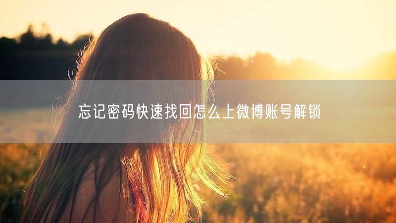 忘记密码快速找回怎么上微博账号解锁