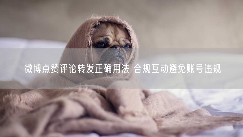 微博点赞评论转发正确用法 合规互动避免账号违规