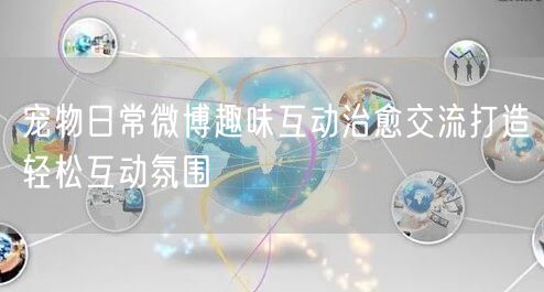 宠物日常微博趣味互动治愈交流打造轻松互动氛围