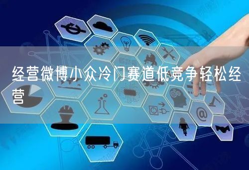经营微博小众冷门赛道低竞争轻松经营
