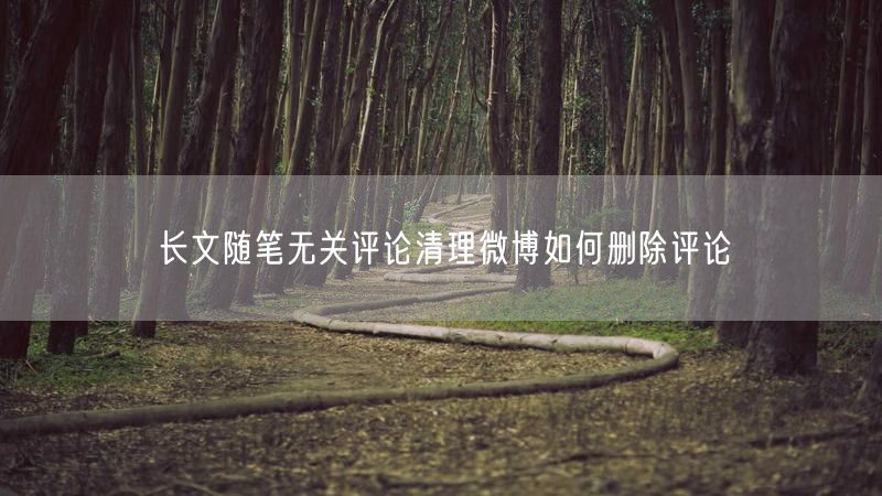 长文随笔无关评论清理微博如何删除评论