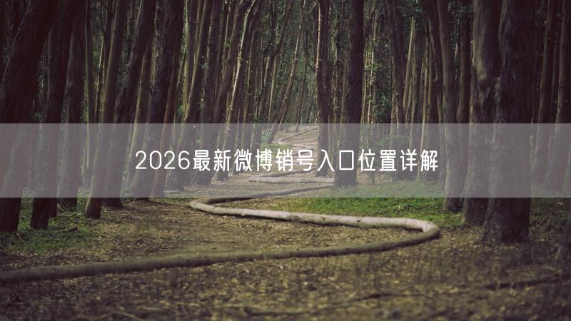2026最新微博销号入口位置详解