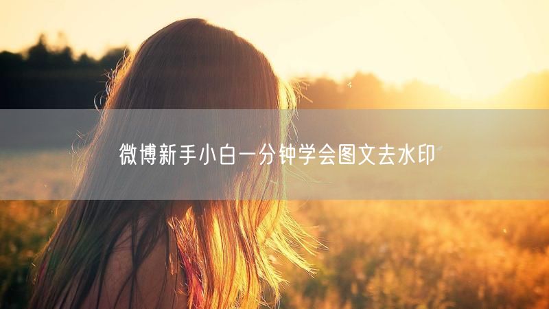 微博新手小白一分钟学会图文去水印