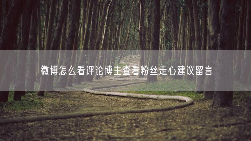 微博怎么看评论博主查看粉丝走心建议留言