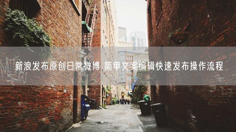 新浪发布原创日常微博 简单文案编辑快速发布操作流程