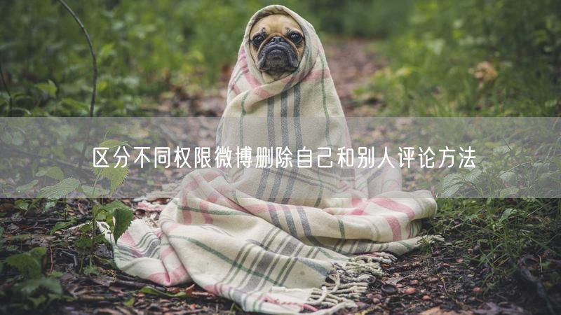 区分不同权限微博删除自己和别人评论方法