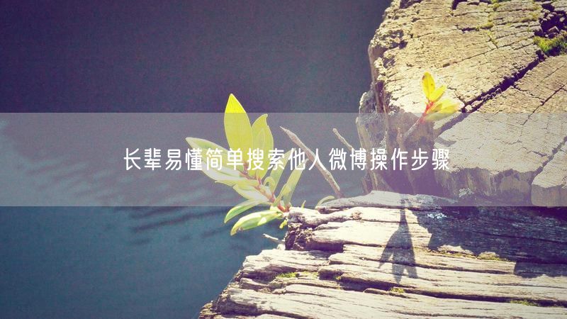 长辈易懂简单搜索他人微博操作步骤