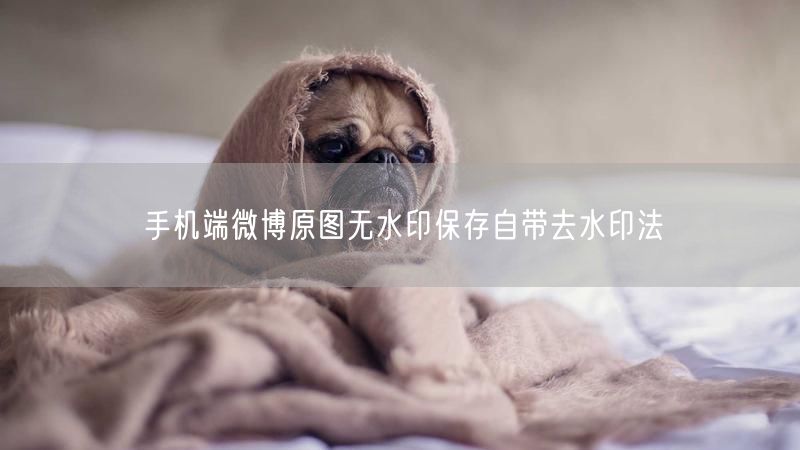 手机端微博原图无水印保存自带去水印法