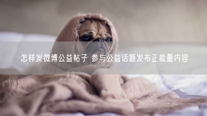 怎样发微博公益帖子 参与公益话题发布正能量内容