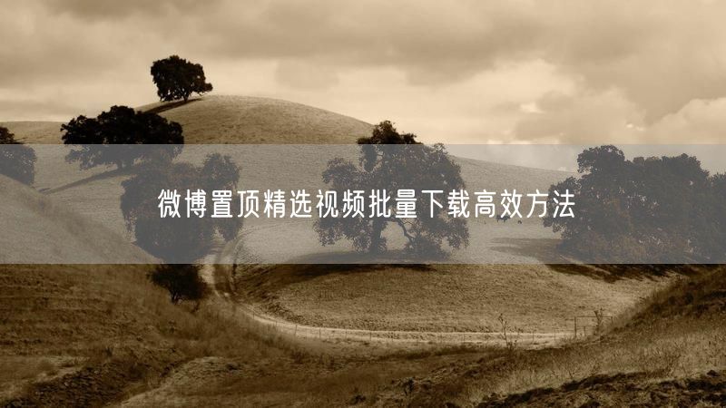 微博置顶精选视频批量下载高效方法