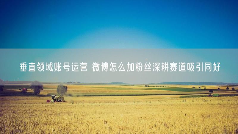 垂直领域账号运营 微博怎么加粉丝深耕赛道吸引同好