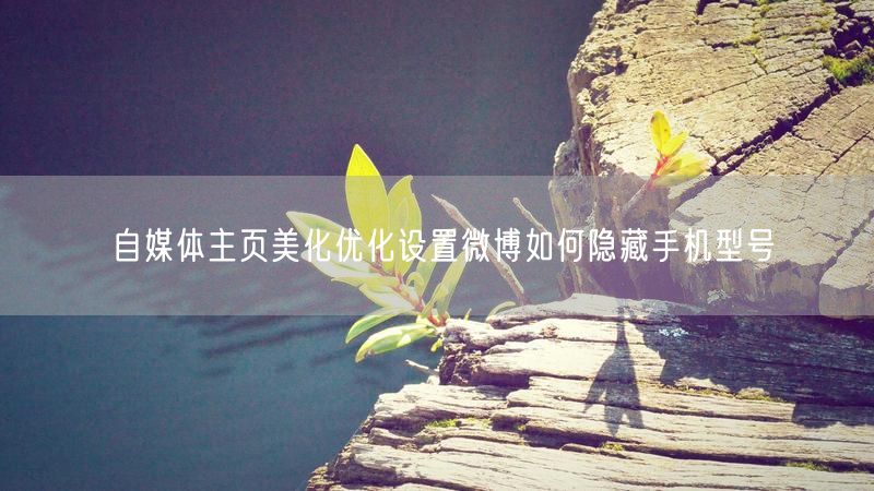自媒体主页美化优化设置微博如何隐藏手机型号