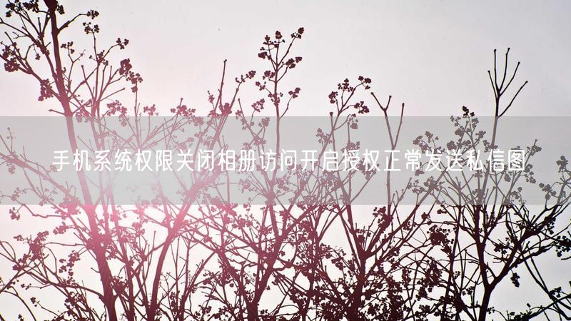 手机系统权限关闭相册访问开启授权正常发送私信图