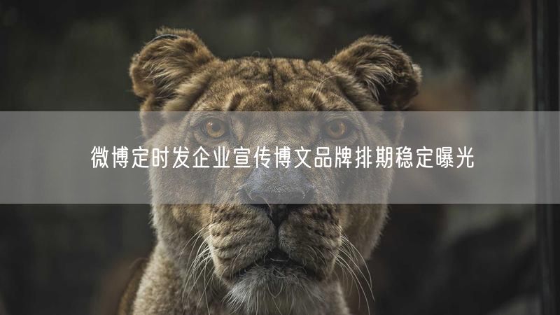 微博定时发企业宣传博文品牌排期稳定曝光