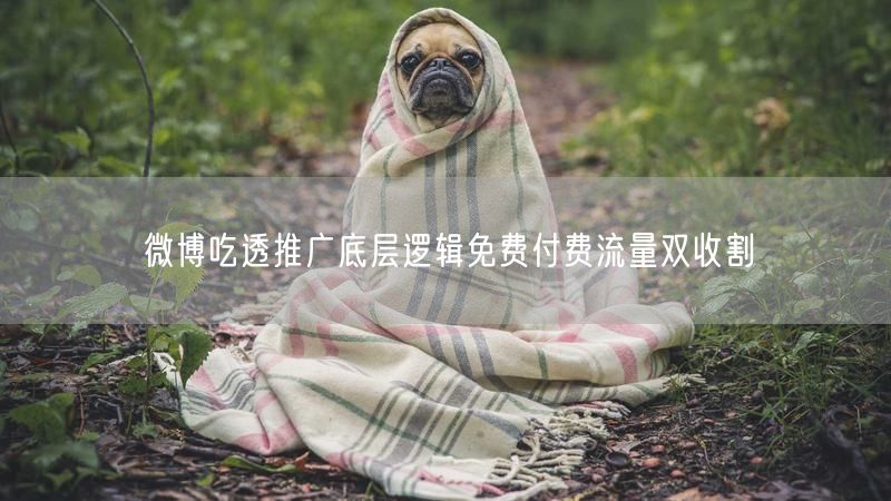 微博吃透推广底层逻辑免费付费流量双收割