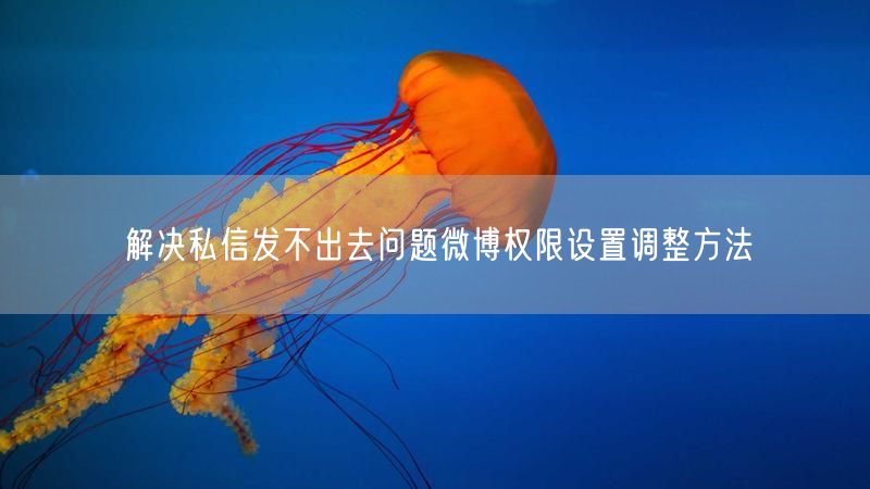 解决私信发不出去问题微博权限设置调整方法