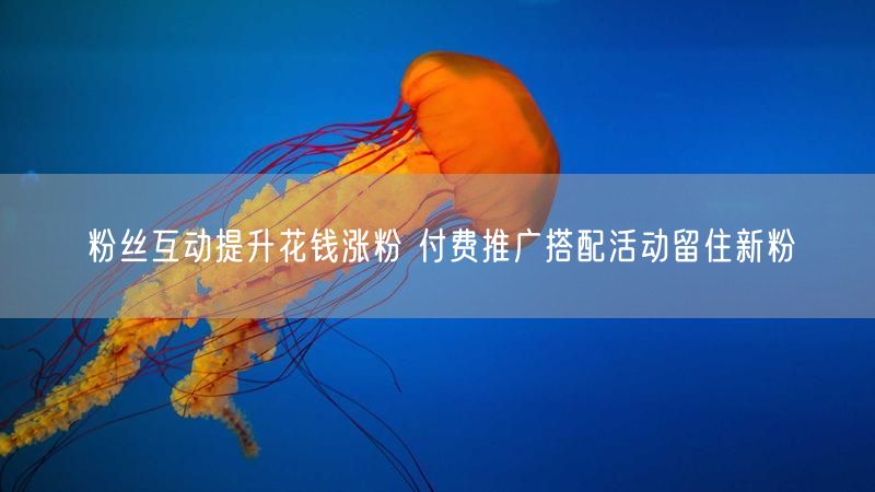 粉丝互动提升花钱涨粉 付费推广搭配活动留住新粉