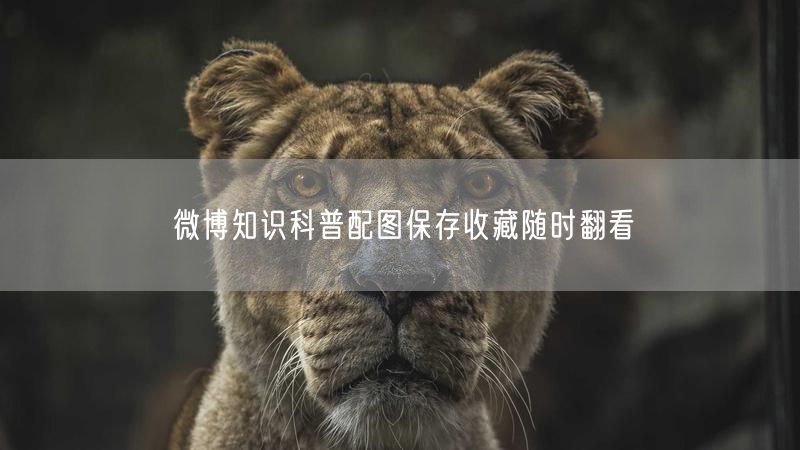 微博知识科普配图保存收藏随时翻看