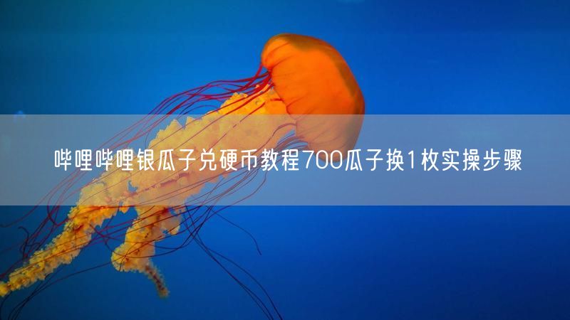 哔哩哔哩银瓜子兑硬币教程700瓜子换1枚实操步骤