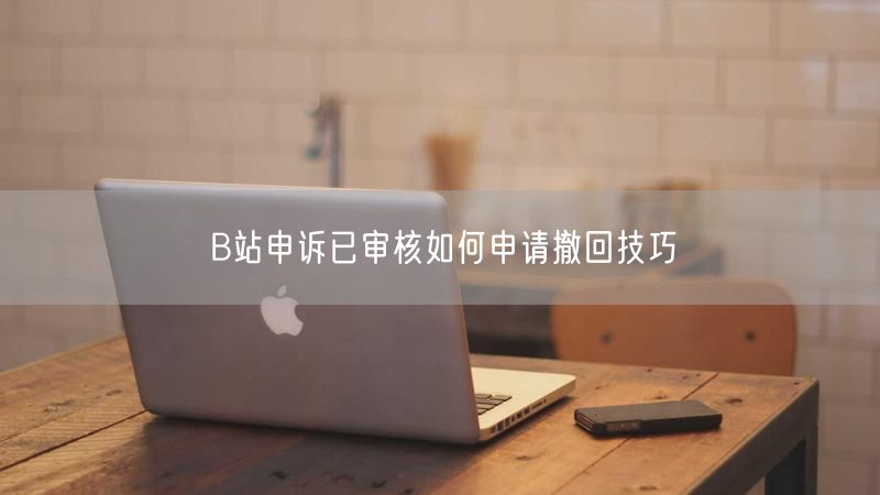 B站申诉已审核如何申请撤回技巧