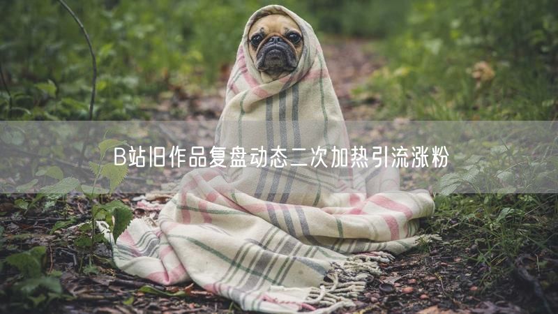 B站旧作品复盘动态二次加热引流涨粉