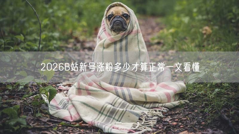 2026B站新号涨粉多少才算正常一文看懂