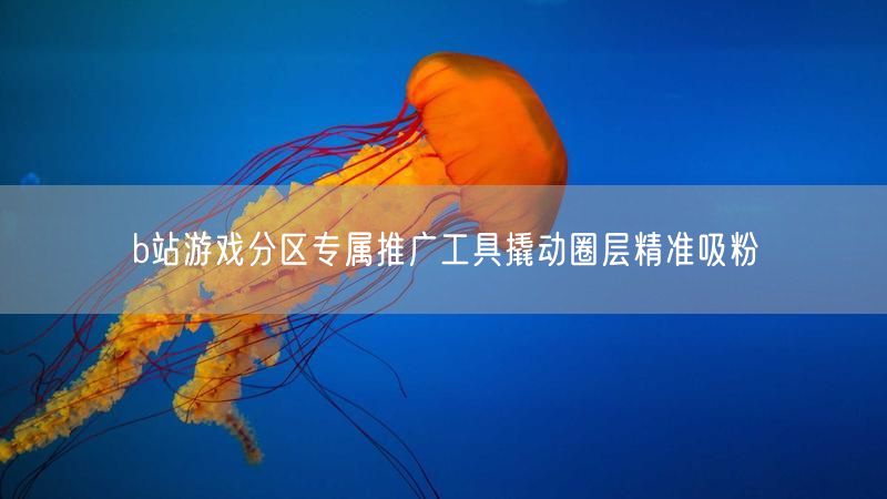 b站游戏分区专属推广工具撬动圈层精准吸粉