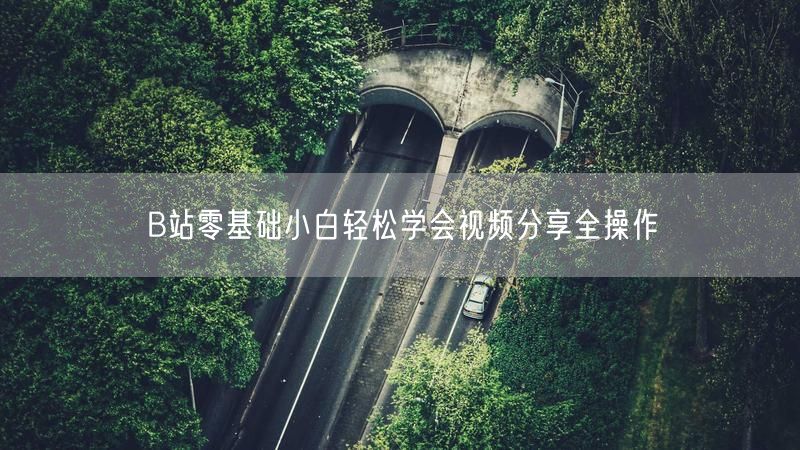 B站零基础小白轻松学会视频分享全操作