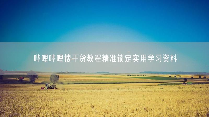 哔哩哔哩搜干货教程精准锁定实用学习资料