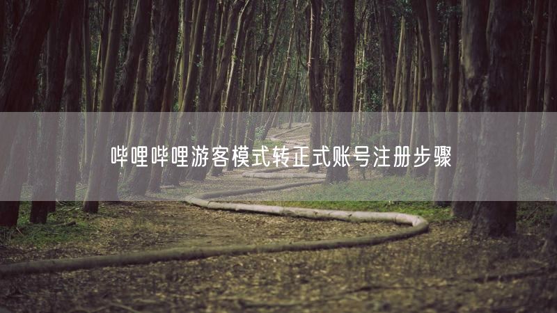 哔哩哔哩游客模式转正式账号注册步骤