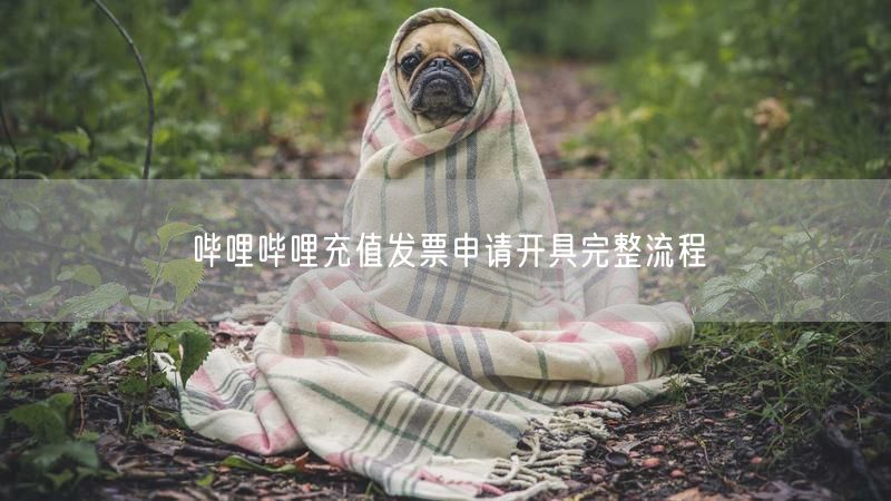 哔哩哔哩充值发票申请开具完整流程