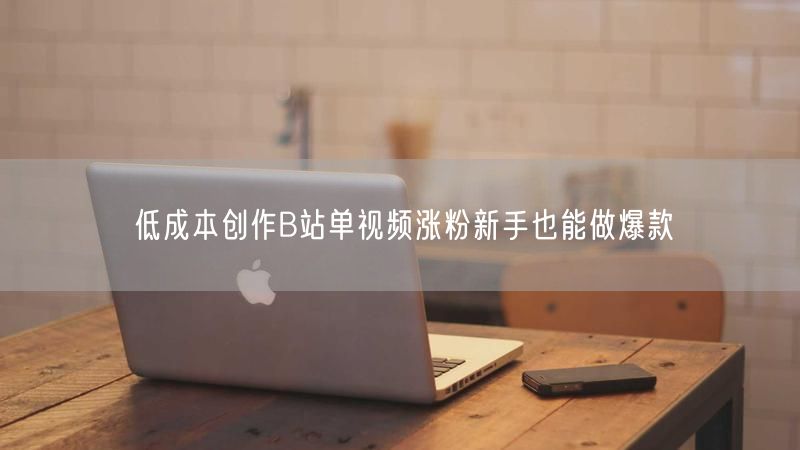 低成本创作B站单视频涨粉新手也能做爆款
