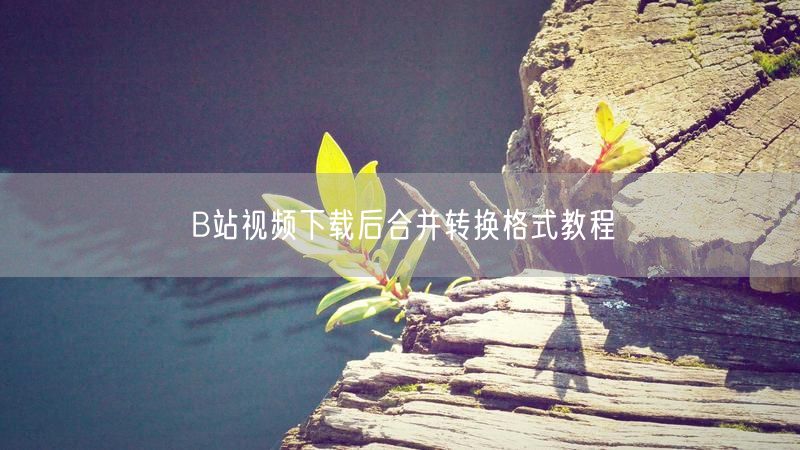 B站视频下载后合并转换格式教程