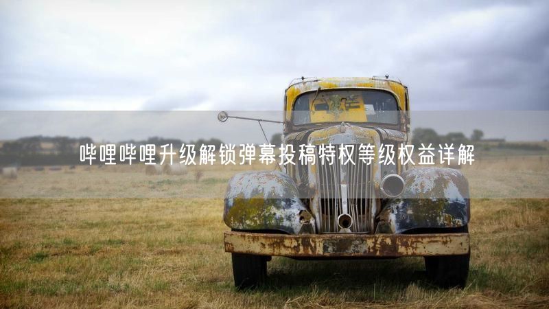 哔哩哔哩升级解锁弹幕投稿特权等级权益详解